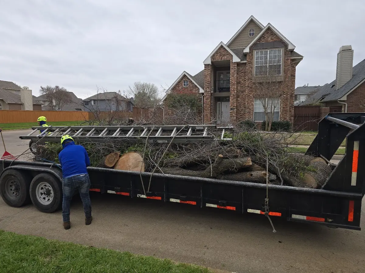 Expert Tree Fertilization with proper safety equipment in New Bern
